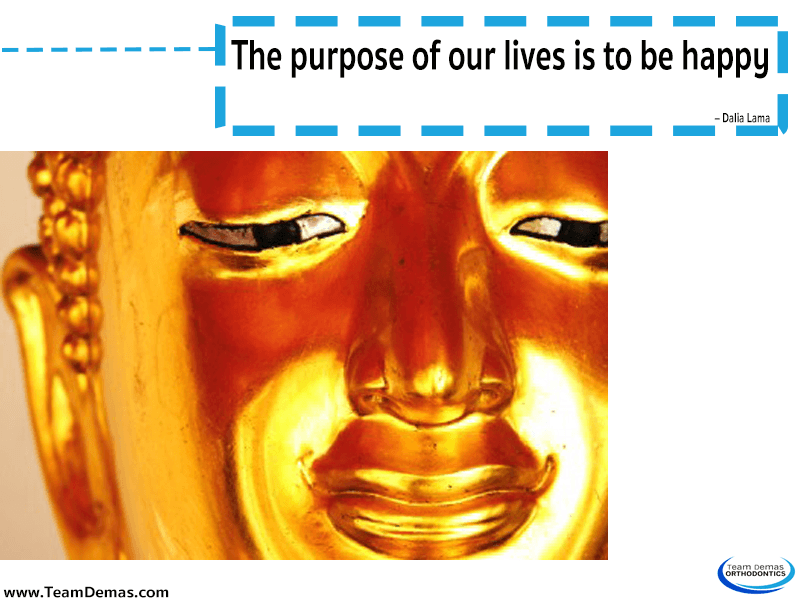 The purpose of our lives is to be happy – Dalai Lama